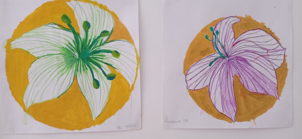 dessins des élèves de CP représentant une fleur d'hibiscus