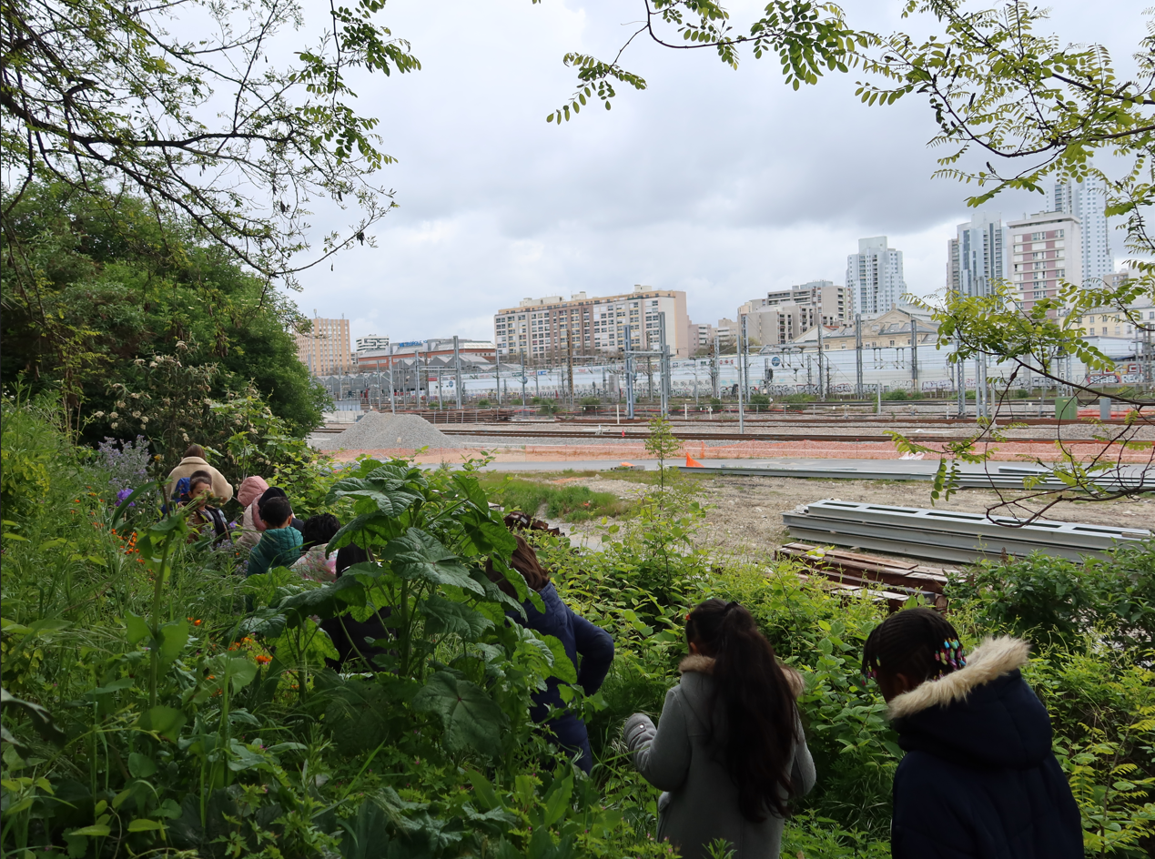 Découverte du théâtre de verdure du Shakirail avec une classe de CE1