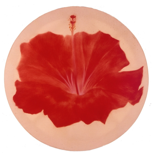 œuvre sur toile ronde de 140 cm de diamètre de Frédéric Vaësen représentant en gros plan une fleur d'hisbiscus