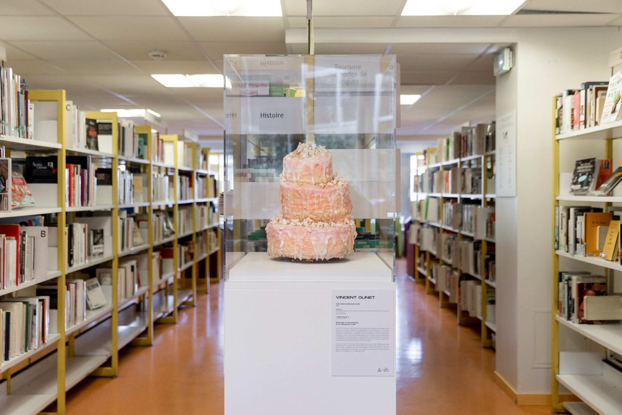 sculpture hyper réaliste en forme de gateau rose, sur socle blanc, dans une bibliothèque