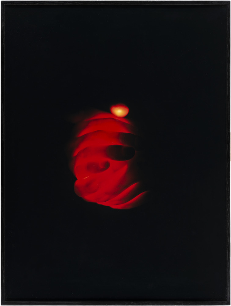 Julien Discrit, [Brighter than a thousand suns],
2007, photographie, tirage couleur à développement chromogène sur papier contrecollé sur aluminium, 80 x 60 cm, édition 2/5. Acquisition 2007