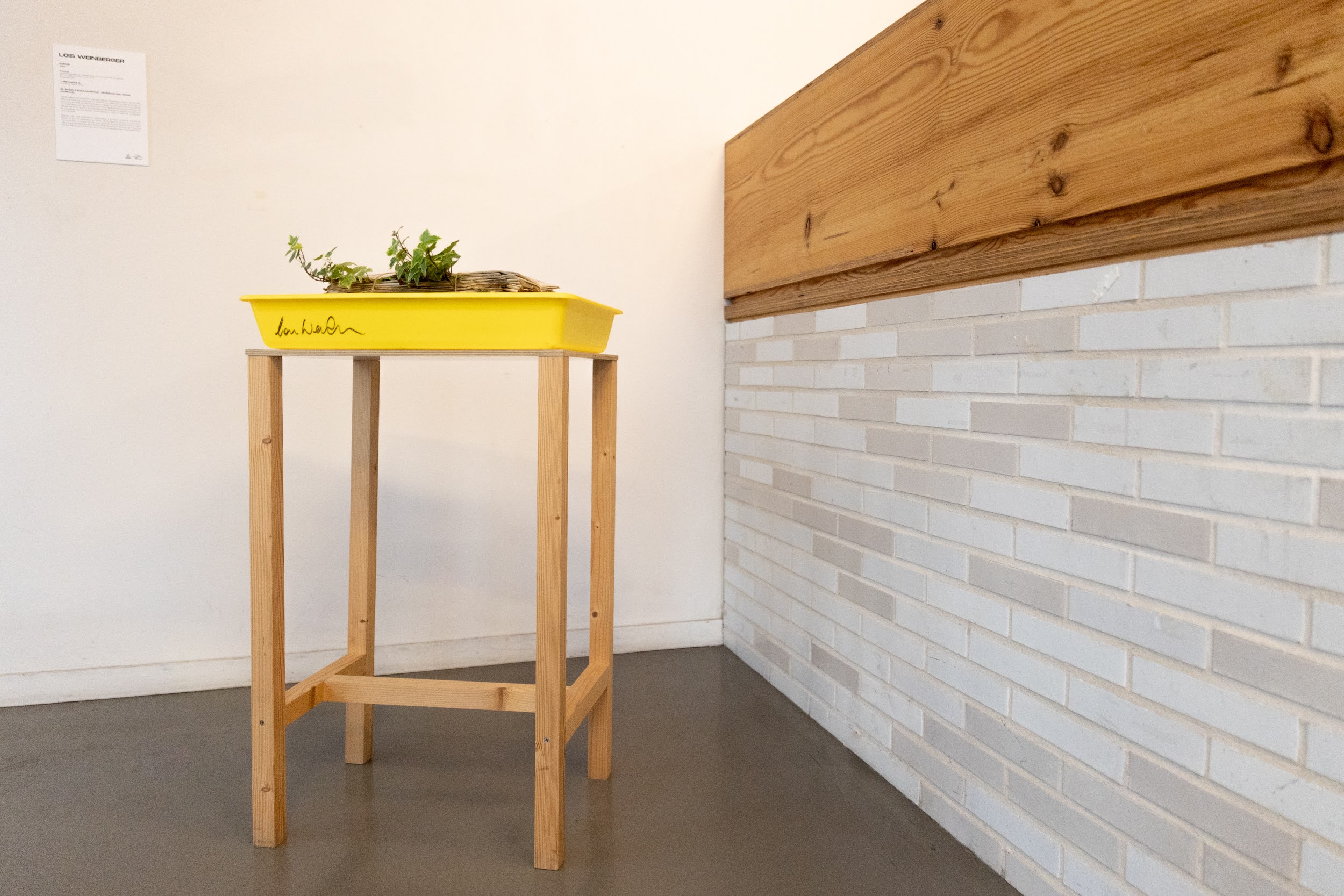 bac jaune avec pile de journaux et plantes, sur un support en bois, dans un intérieur avec carrelage et bois
