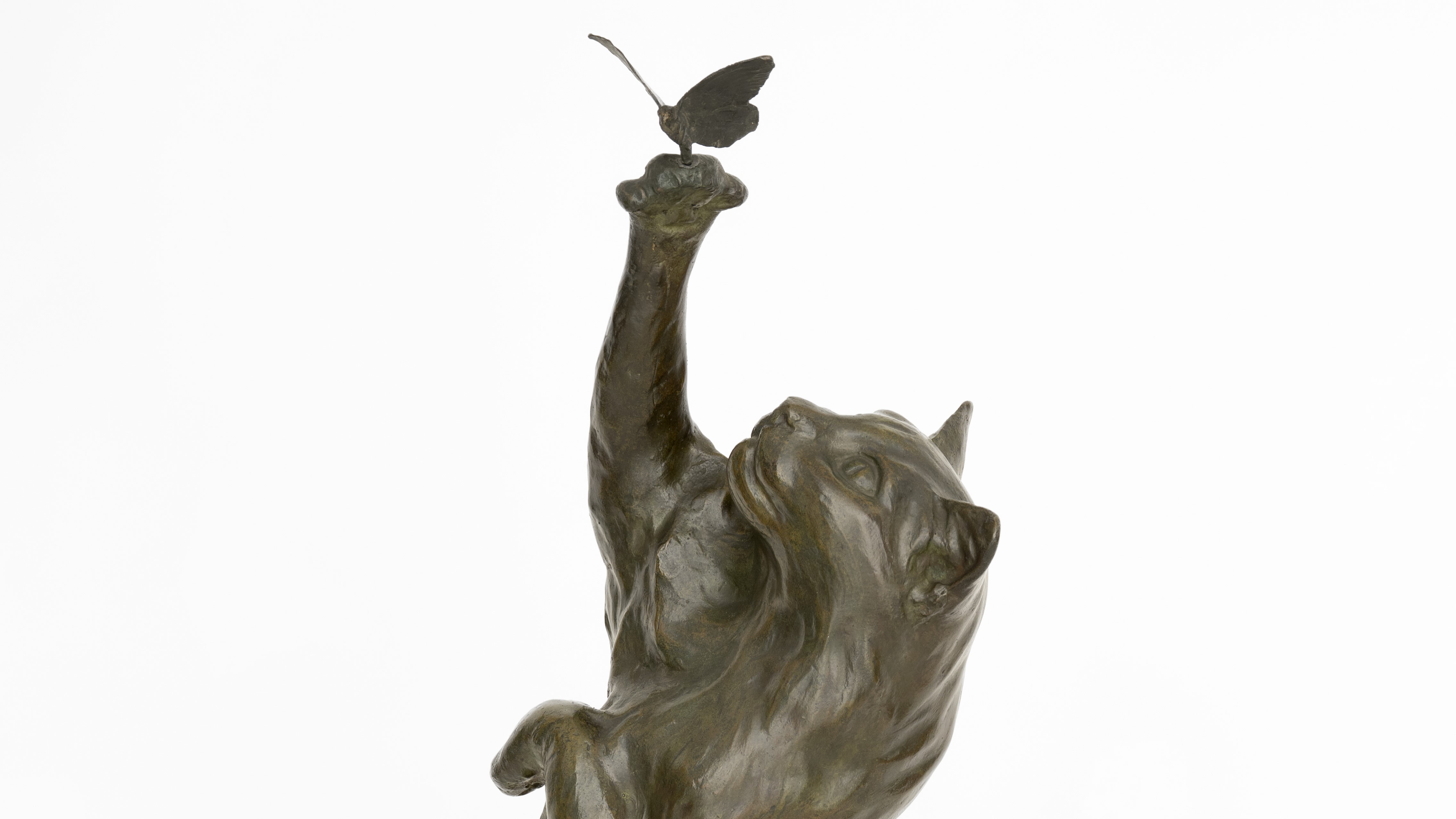 Détail de l’œuvre [Chat jouant avec un papillon]