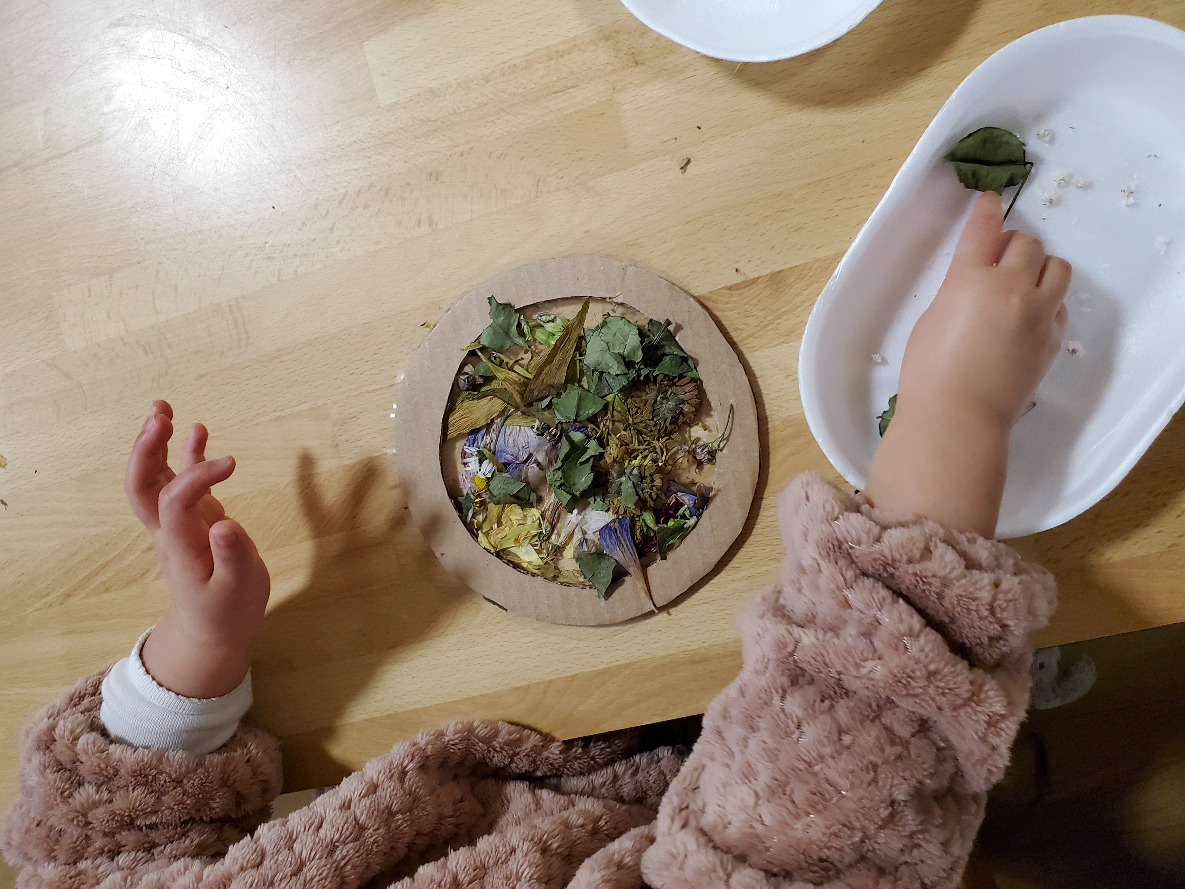 Zoom sur les mains d'une petite fille qui attrape délicatement une feuille. Devant elle se trouve un anneau de carton d'une vingtaine de centimètre de diamètre. Posé sur un papier collant, la fillette vient y déposer des fleurs et des feuilles pour créer un herbier.